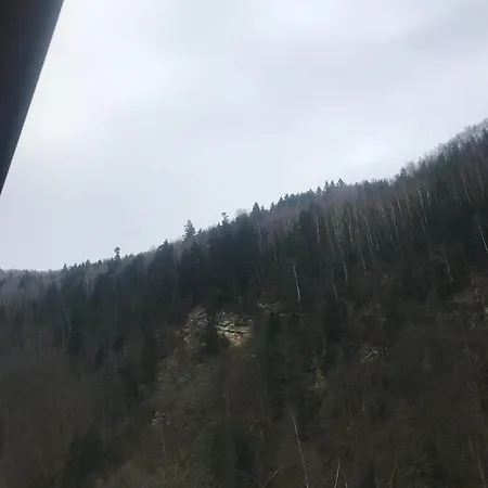 Гостевой дом писанка плюс *
