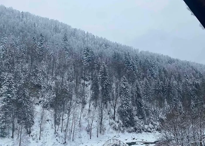 писанка плюс * Яремча