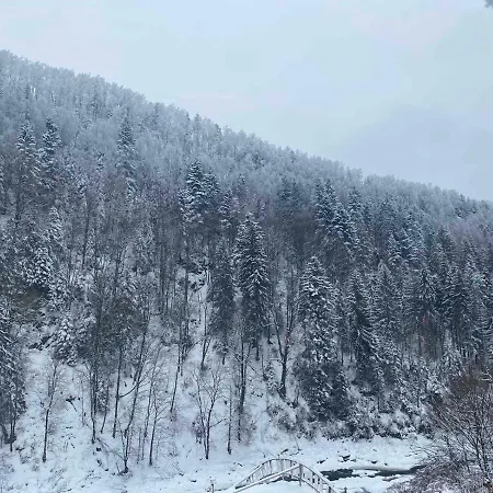 писанка плюс * Yaremche