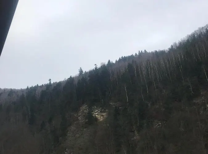 게스트하우스 писанка плюс *