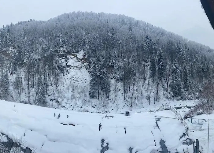 게스트하우스 писанка плюс 야렘체
